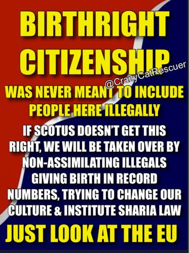 END BIRTHRIGHT CITIZENSHIP