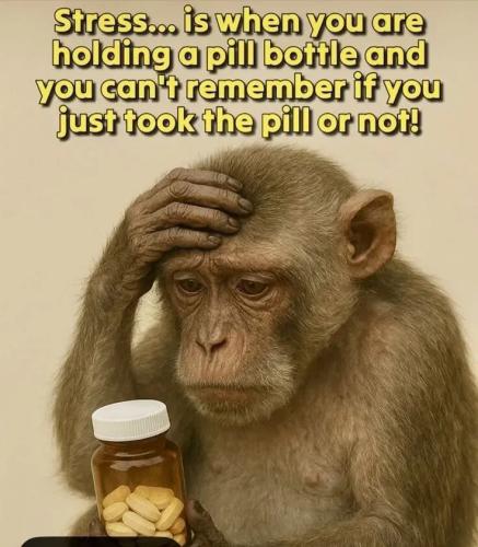 TESTHUB_photos_users_KPBY8Tc46ldqLjWXf6bqxqOW3AR2_-OqE9f3dqEHZN-SAHC00_img_rsz__1100x1100