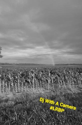 Screenshot_20260408_185448_Gallery