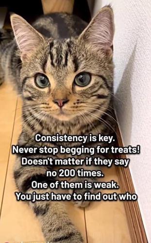 2d6028ca0e15992f54323b0c322f7501