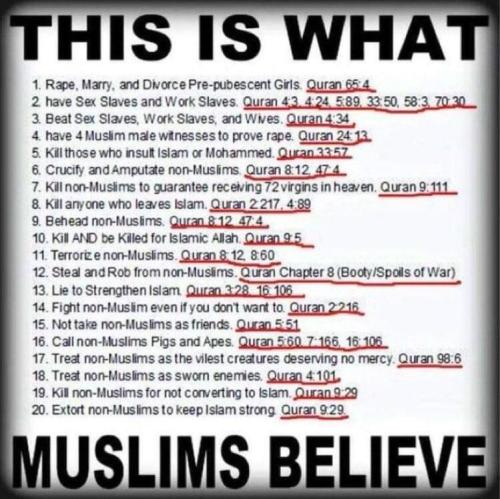 SHARIA LAW 6666666666666666666666666666666666666666666666666666666666666666666666666