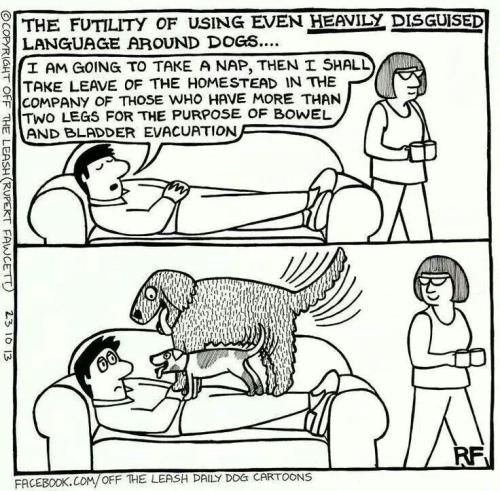 8ada9bd9d7913d1bdf76834902bc371f