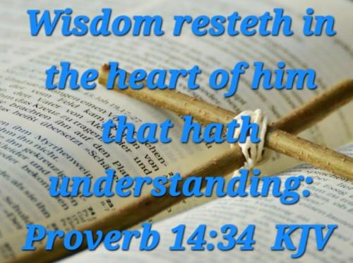 62874267-c473-412d-b573-d2ad9956c7a3