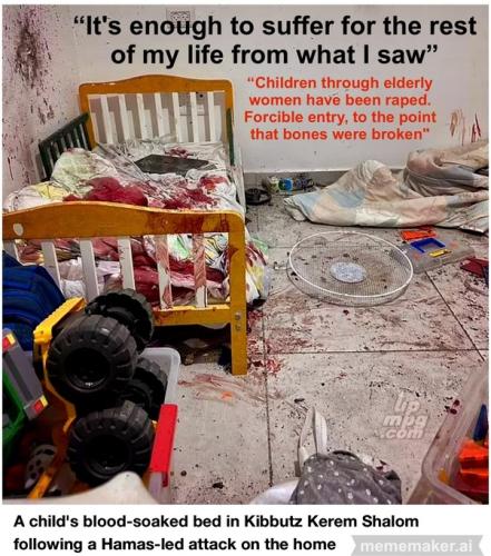 z-main-qimg-768ee940eca55d304df97e6e7684bef4