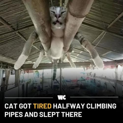 661590907_1697405728103902_720785111030657355_n