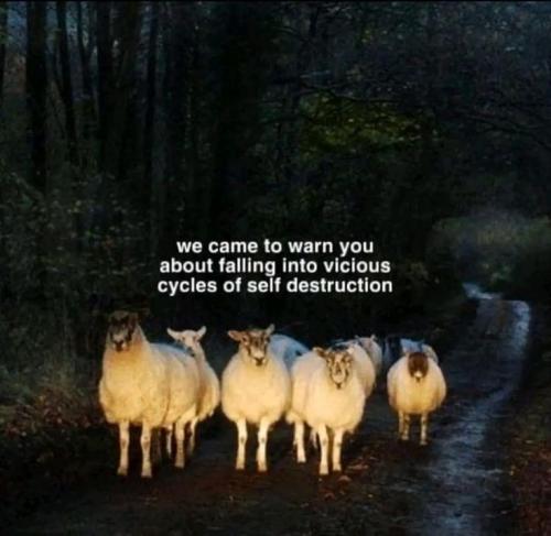 04:35:35 GMT-0500 (CDT)