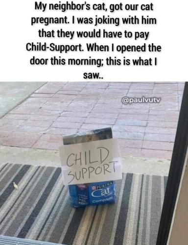 Screenshot_20260417_081405_Gallery