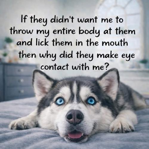 125852a43907bf67861badc3bf943ae5