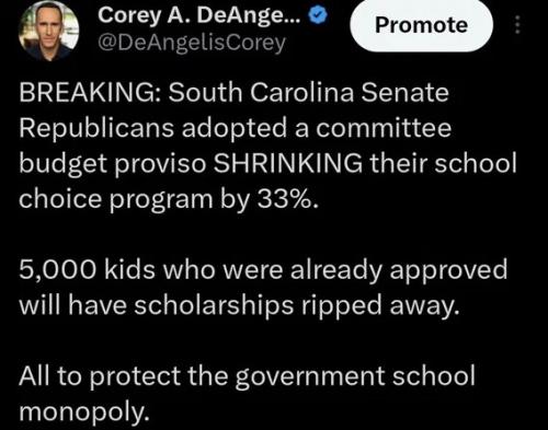 sc-repubs-shrink-school-choice