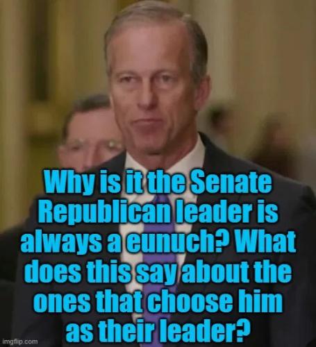 af88cff60a6fe8a27d2a7de795a8cf41