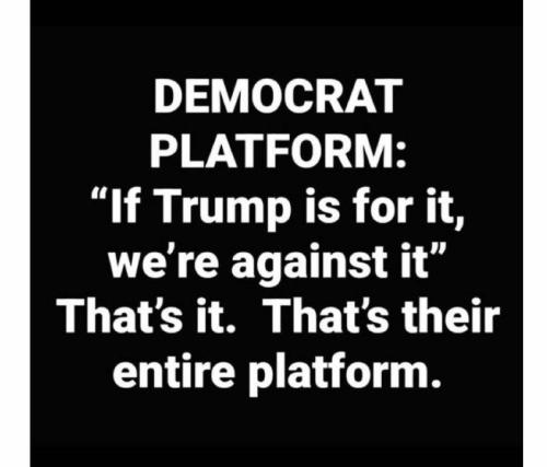 Democrat_platform_against_Trump_thats_it