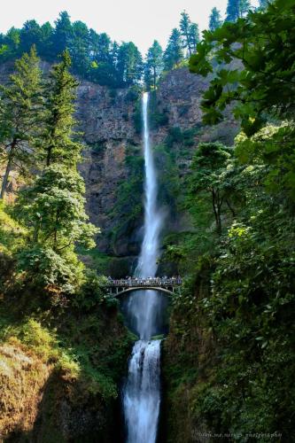 511409792_10161675675774639_5571633870672547227_n