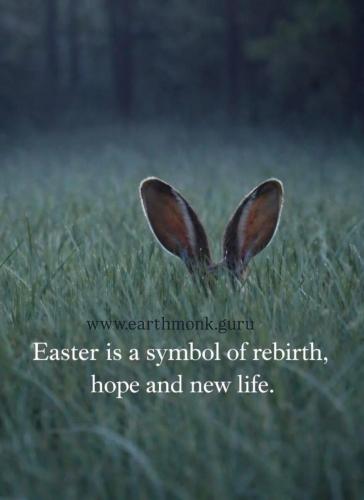 ea99b07ea75af9fafcfe06ea5f07be68