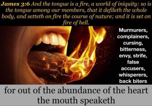 86e45404-6b3c-4713-b7b8-8678187a11f9