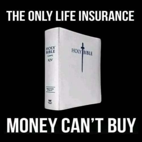 TESTHUB_photos_users_KPBY8Tc46ldqLjWXf6bqxqOW3AR2_-Opp8rs30RTupeb8Xs1K_img_rsz__1100x1100