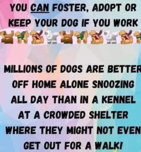 d86df6622b4246276e6c8b8a32b760d7