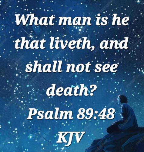 b616dac3-660e-4317-a169-1a27afd20017