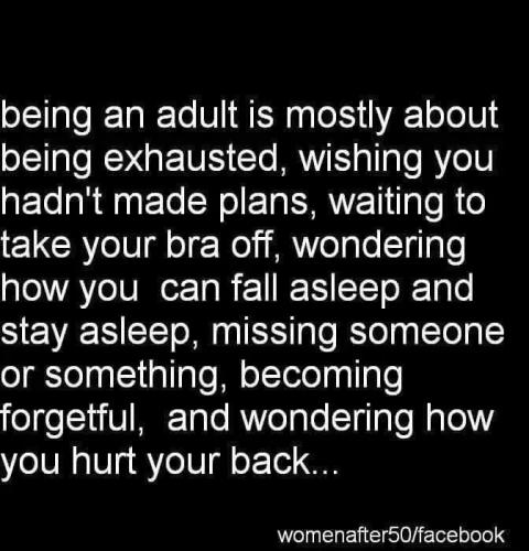 17772847570505567537938804984375_2299663719802479