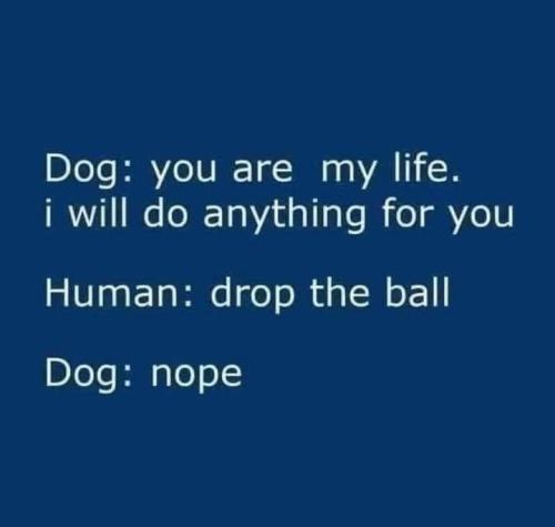 0d8c45eec76faaf9156b3101e9bf2e82