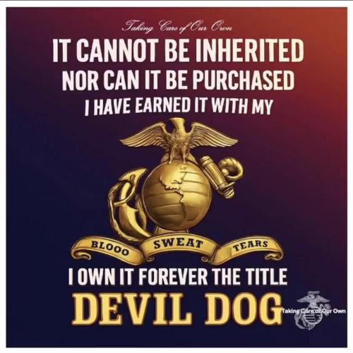 675068175_1501408762015516_4206585393685217981_n