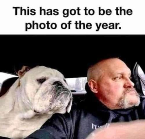 Screenshot_20260401_134151_Gallery