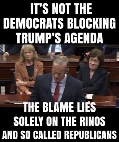 Rinos SUCK !!