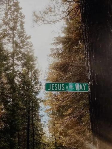 TESTHUB_photos_users_KPBY8Tc46ldqLjWXf6bqxqOW3AR2_-OqNbMdNAJzd9I7rEZuJ_img_rsz__1100x1100