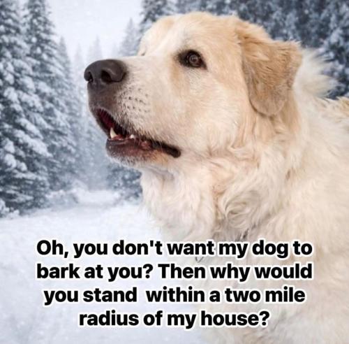 oh-dont-want-my-dog-bark-at-then-why-would-stand-within-two-mile-radius-my-house
