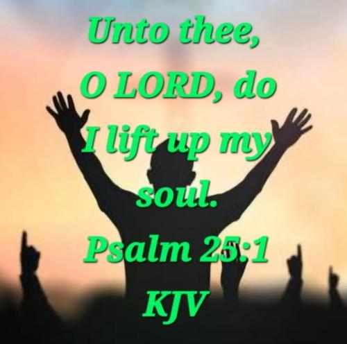 42527f11-6f47-4aae-b921-5d08ea607aef