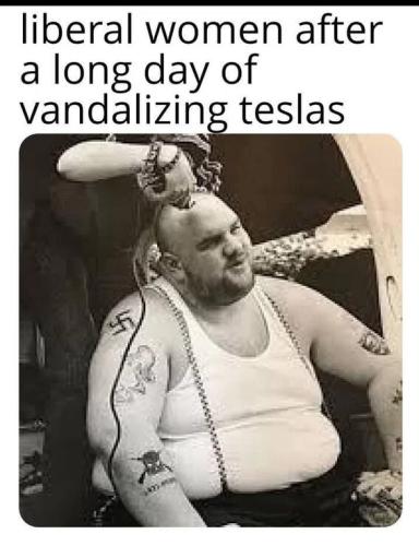 women-after-long-vandal-teslas