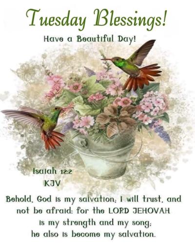 669649837_1385987883561935_8205837686986124066_n