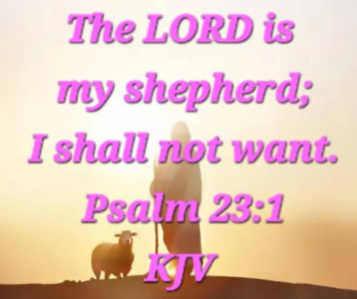 ba2b3cb1-e46f-4a4f-b0c1-fab6677e4dcc