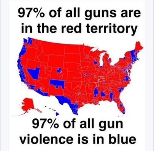 a gun t