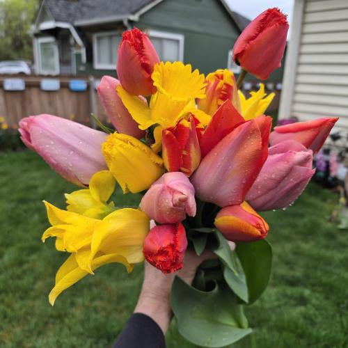 a sunday morning blooms