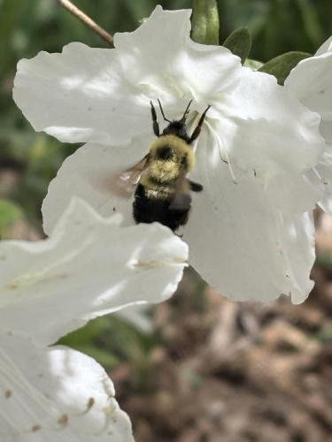 666776861_1297959728948335_4979561396054854185_n