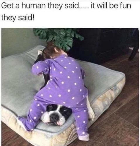 get-a-human