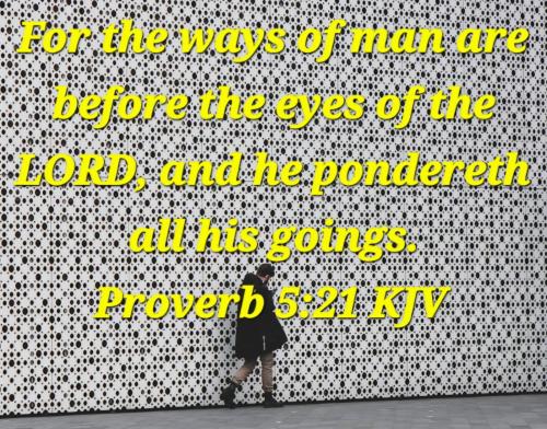 1564d670-afe5-44d5-8776-1d8257a8cb5b