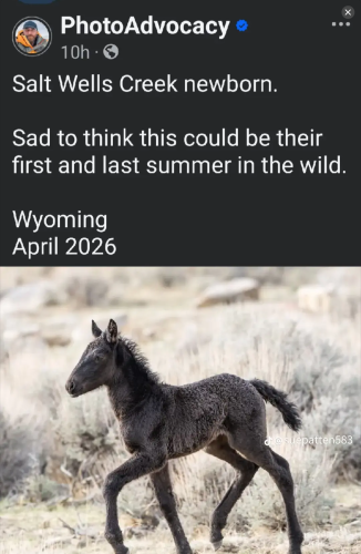 Screenshot_20260402-192835_Wimkin Free Speech Social Media