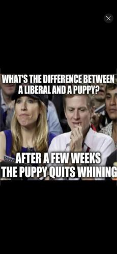 Screenshot_20260408_182244_YouTube