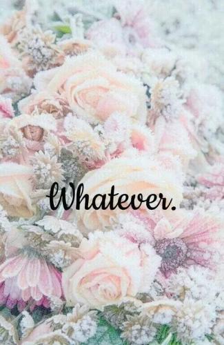 TESTHUB_photos_users_KPBY8Tc46ldqLjWXf6bqxqOW3AR2_-OqNpxmjO4GkdrcC5_oY_img_rsz__1100x1100