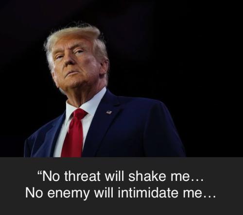 03bc3a80c5a6959ba64279714c243794