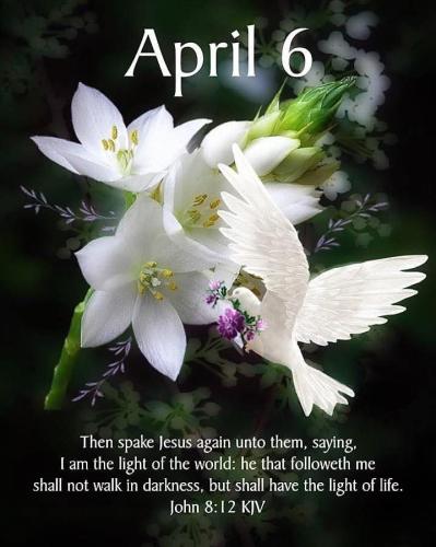 FB_IMG_1775478016377