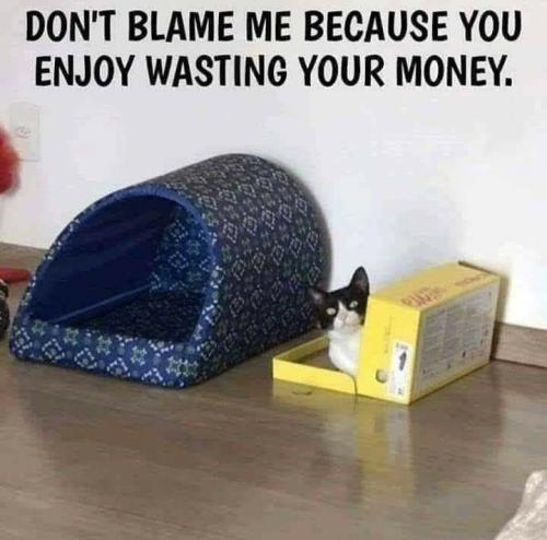 7d8c913d1b887802f27affb36b86b786