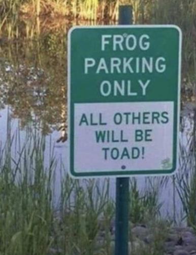 Screenshot_20260402_164954_Gallery