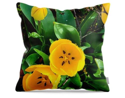 Screenshot_20260420_132500_Brave