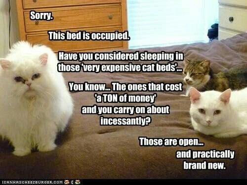 970fd4ff6c319df98c8660259be561b7