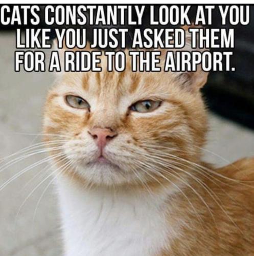 1af5b1ef2f4fe055de57e74900b51fbb