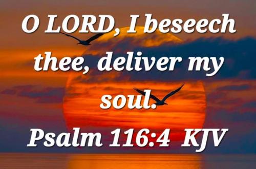 9b835a91-470e-4eee-8998-fc80e2151874