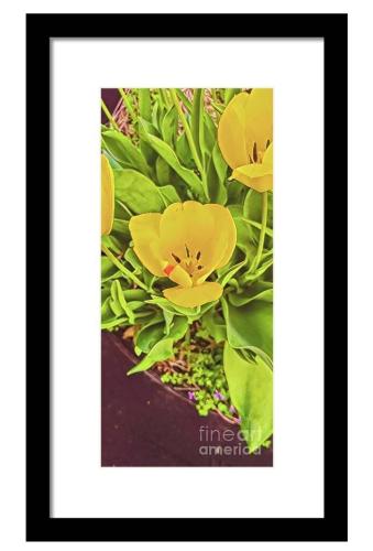 Screenshot_20260408_184026_Brave