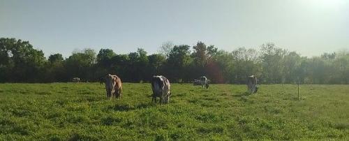 674221169_122177383160877381_1507542994482382722_n